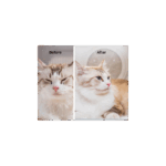 Uscator Smart PETKIT AirSalon Max pentru animale de companie, Capacitate 60L, Ecran tactil, Bluetooth, Putere 900W - imagine 8