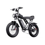 Bicicletă electrică L20