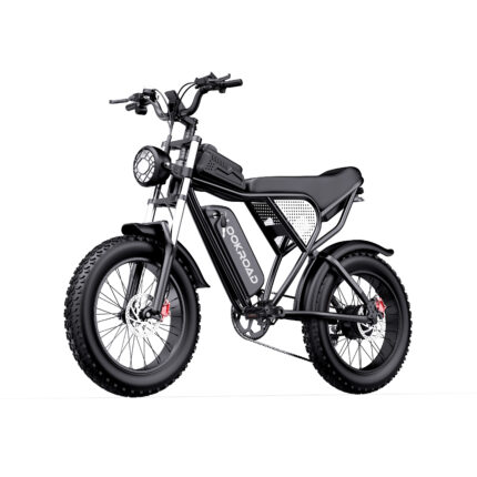 Bicicletă electrică L20